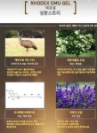 로덱스화장품&정통신 | 로덱스화장품