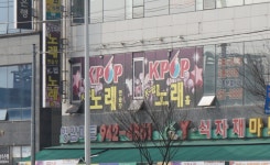 술마시는사랑노래홀 | 술마시는K팝노래홀