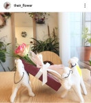 그대쉴꽃