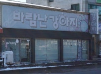 바람난강아지