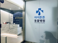 아이튼튼 동물병원
