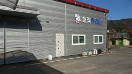 매직코리아