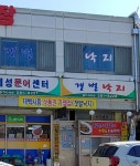 갯벌낙지