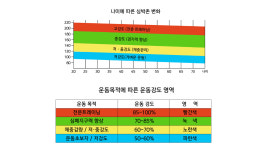 나인맥스핏 | 나인핏피티