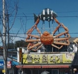 울산회식당.삼팔호 | 울산회대게식당