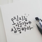 다와의글씨꽃 | 글씨꽃