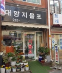 대양지물포