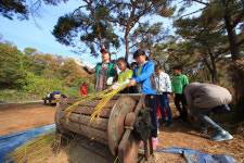 진희네실사랑방 | 질울고래실마을