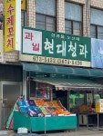 현대청과