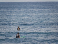 제주도서핑샵문서프 | 제주도서핑 문서프