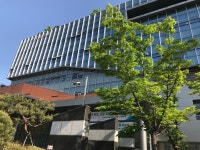 (주)엘에스씨푸드 성동세무서 | 성동세무서