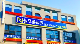 늘푸른산역장의사 | 늘푸른의원
