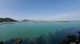 완도전복생산자협동조합