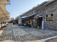 삼일여행사