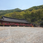 예촌