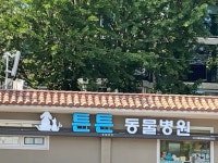 튼튼동물병원