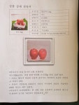 고운빛안동사과 | 안동댁사과농원