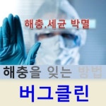 버그클린제천 | 버그클린