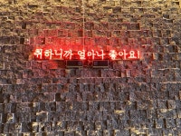 흥인생활맥주광안리점 | 생활맥주 광안리점
