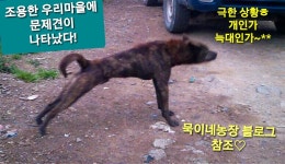 묵이네농산