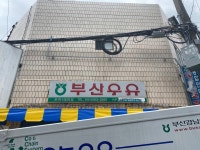 부산우유 상북 대리점 | 부산우유 온천1대리점