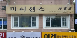 박옥희헤어센스미용실 | 마이센스미용실