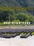 정선만장대홈일호 | 정선만장대홈샵이호