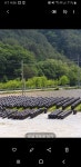 정선만장대홈일호 | 정선만장대홈샵이호