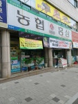 농협홍삼본동 | 농협홍삼 본동직영점