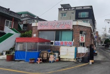 꽃바위산꼼장어 | 꽃바위산곰장어