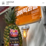 담벼락과일