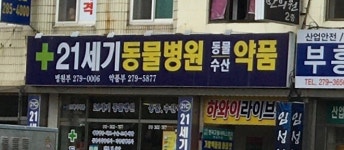21세기동물병원