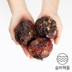 숨비 영어조합법인
