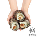 숨비 영어조합법인