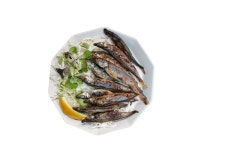 사케도로보