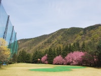 성산일출스크린골프장 | 성산그린골프연습장