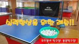 용문탁구장