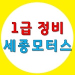 1급지평선모터스 - 35960 | 1급정비세종모터스