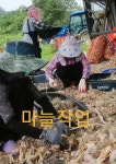 월드한마음인력 | 한마음인력
