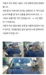 한성차유리차유리교환용접복원점