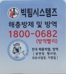 빅팀시스템즈