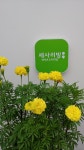 라코베딩세사리빙신정 | 세사리빙 신정점