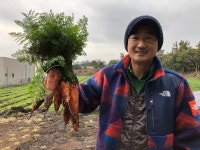 영농조합법인 제주특별자치도 친환경연합사업단 | 제주로의 농부여행