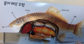 귀인하연과학 | 하연과학