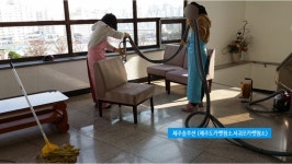 워니카펫솔루션 | 제주카펫 솔루션