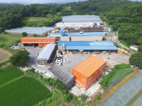 (주)대림목재(4종) | 대림방부목