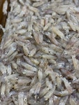 중앙수산청천점 | 중앙수산