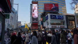 인앤아웃컴퍼니