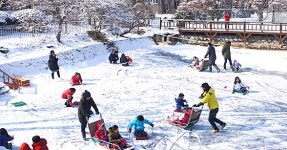 청암관광농원 눈썰매장
