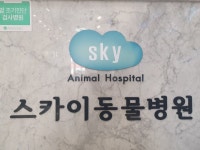 스카이동물병원